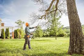 Jessup, PA Tree Removal and Landscaping Services Company